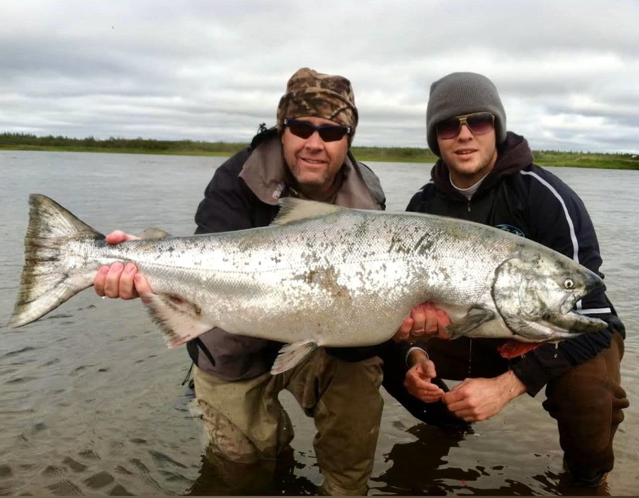 King Salmon