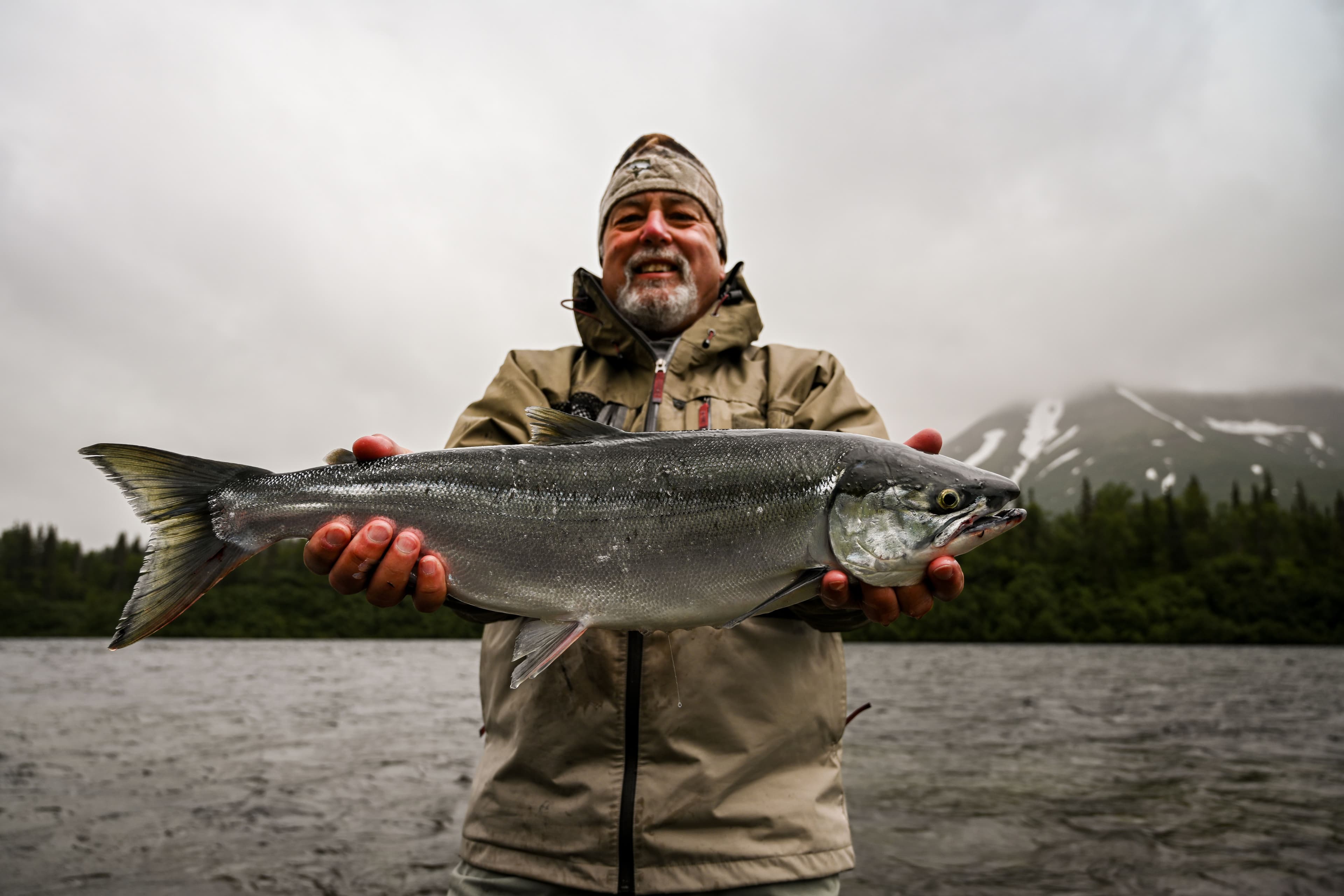 Sockeye Salmon